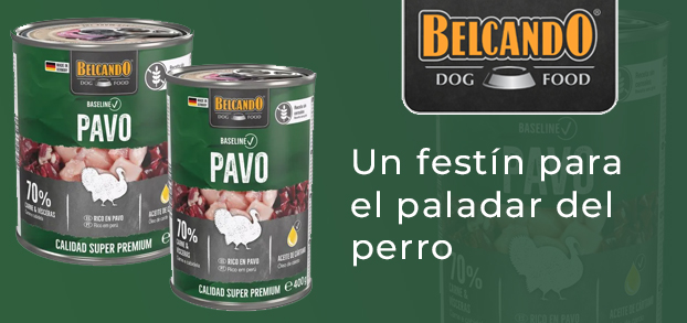 Belcando