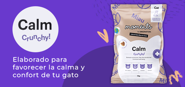 Calm Crunchy