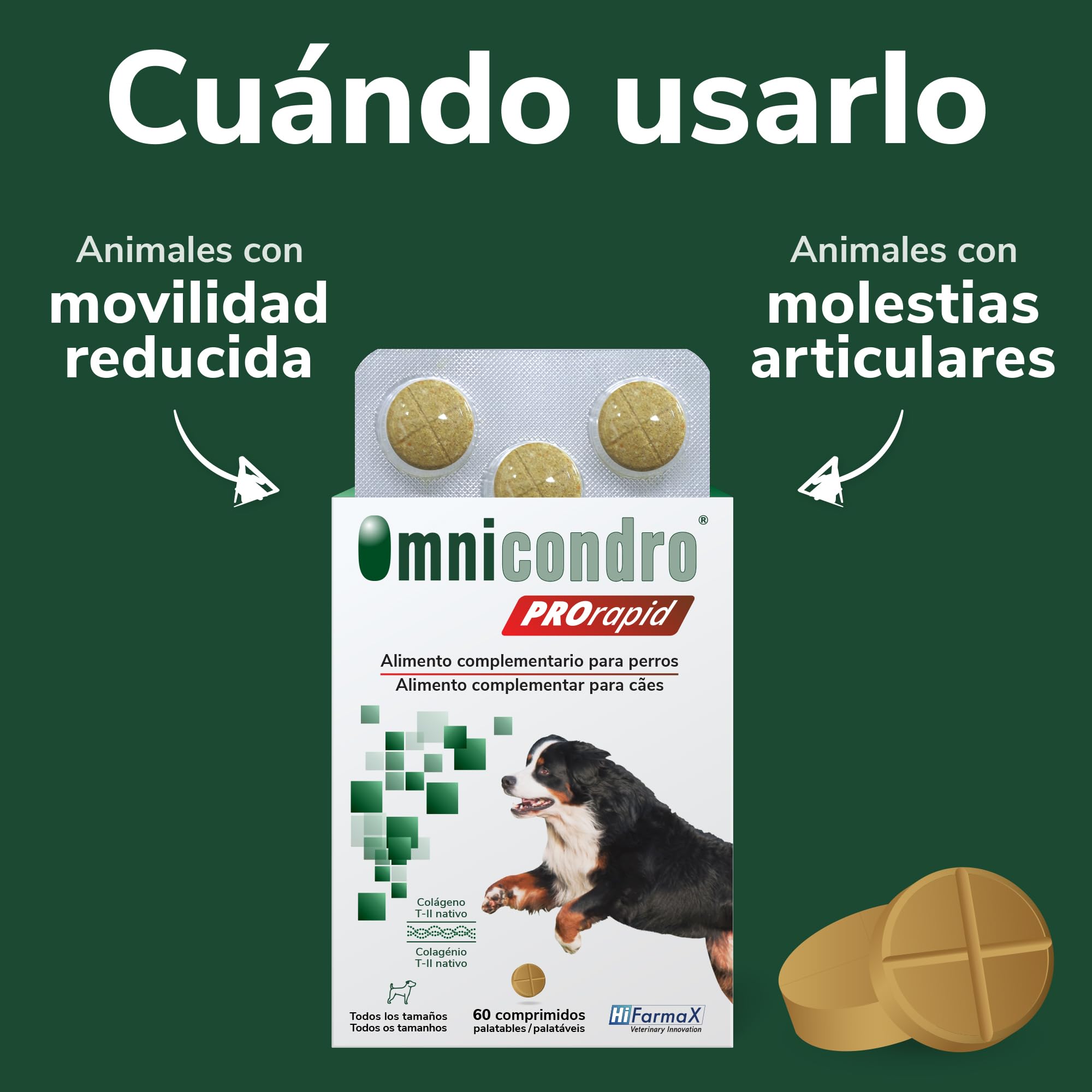 Omnicondro Pro Rapid 60 comprimidos - Imagen 3