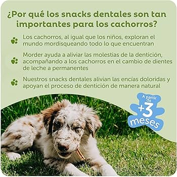 Whimzees Snack Dental XS/S Para Cachorros de Razas Pequeñas - Image 2