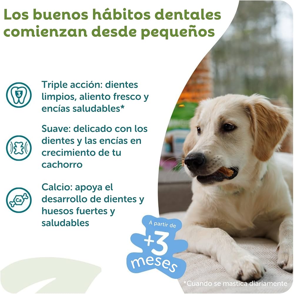 Whimzees Snack Dental XS/S Para Cachorros de Razas Pequeñas - Image 4