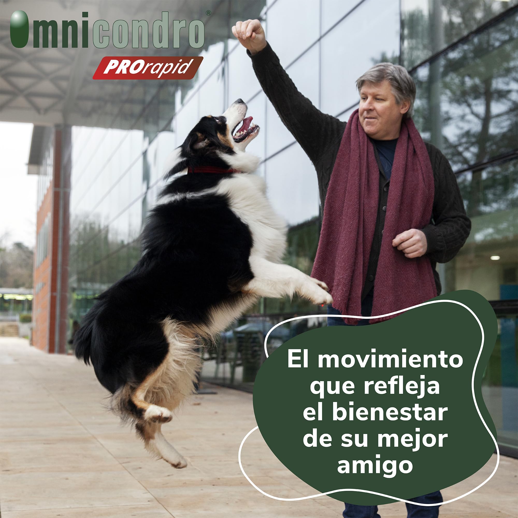 Omnicondro Pro Rapid 60 comprimidos - Imagen 4