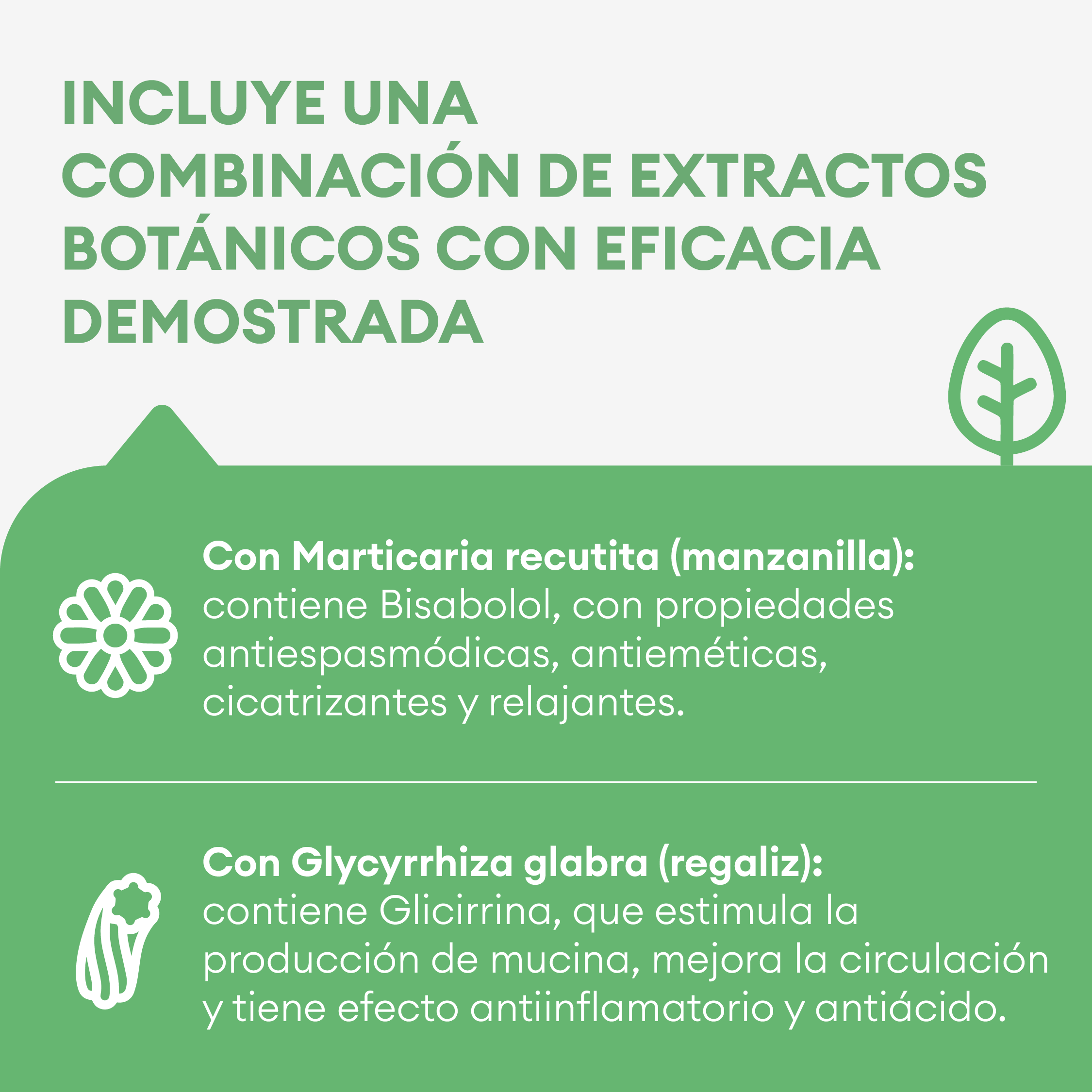 Compet Gastro 85G - Imagen 3