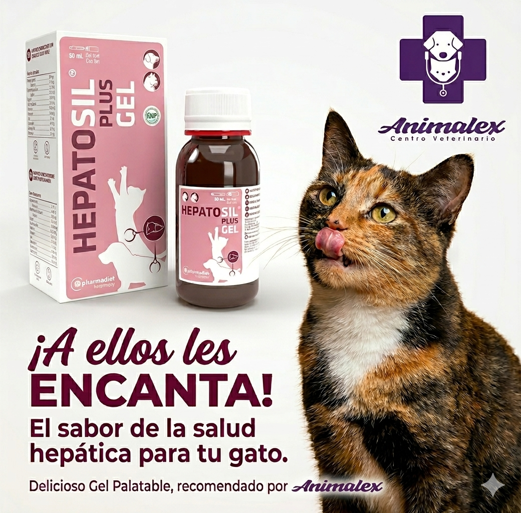Hepatosil Plus Gel - Imagen 2