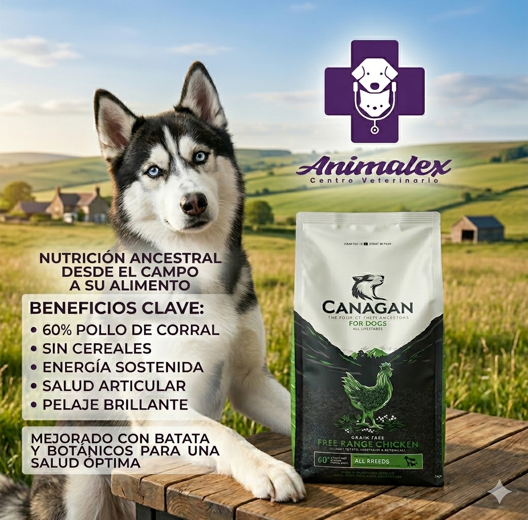 Pienso para mascotas en Zafra de alta calidad