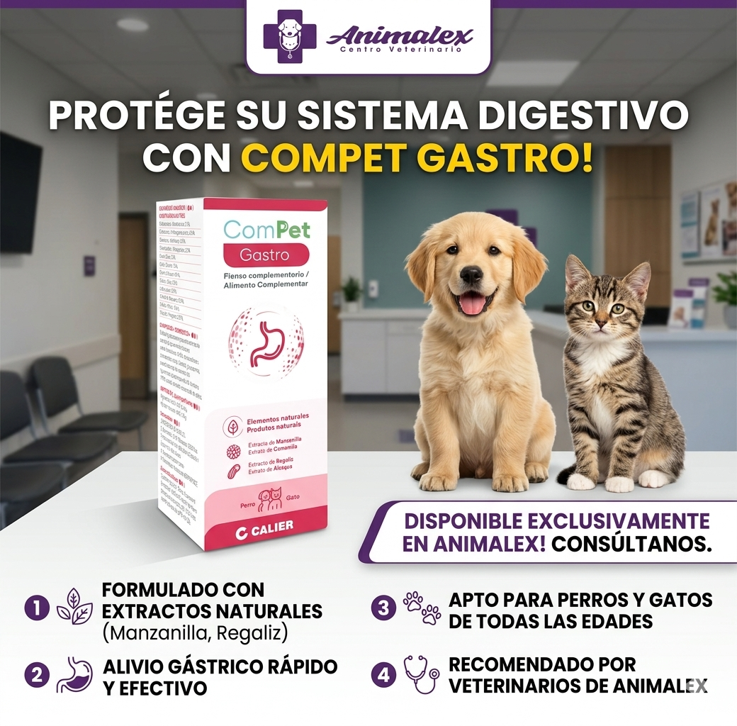 Compet Gastro 85G - Imagen 2