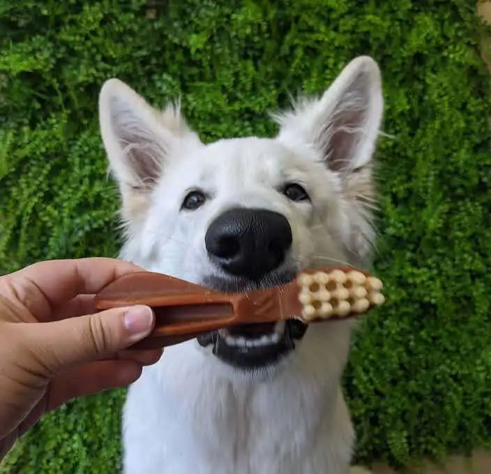 Tienda de animales en Zafra con productos para mascotas