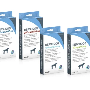 Refordog.