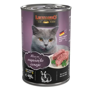 Leonardo rico en exquisito conejo