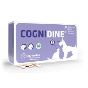 Cognidine®