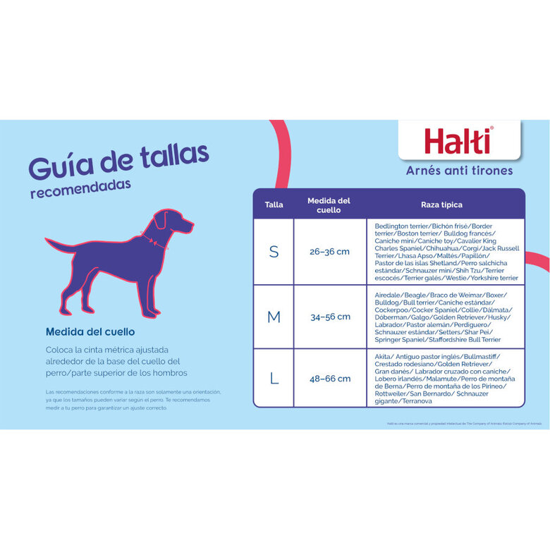 Arnés Halti Control  Delantero Negro - Imagen 4