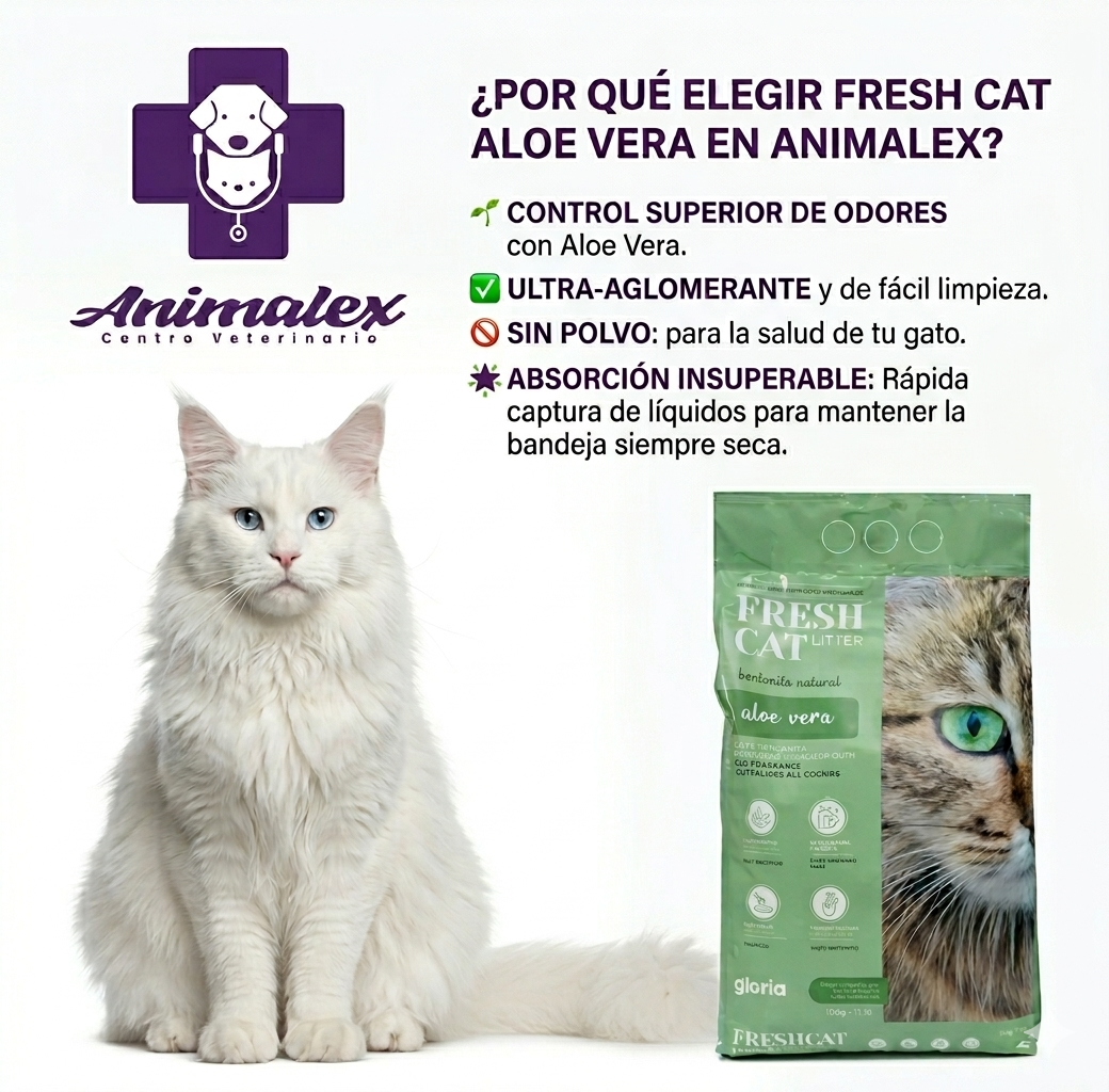 Gloria Arena Aglomerante Litter 15Kg Aloe Vera - Imagen 2