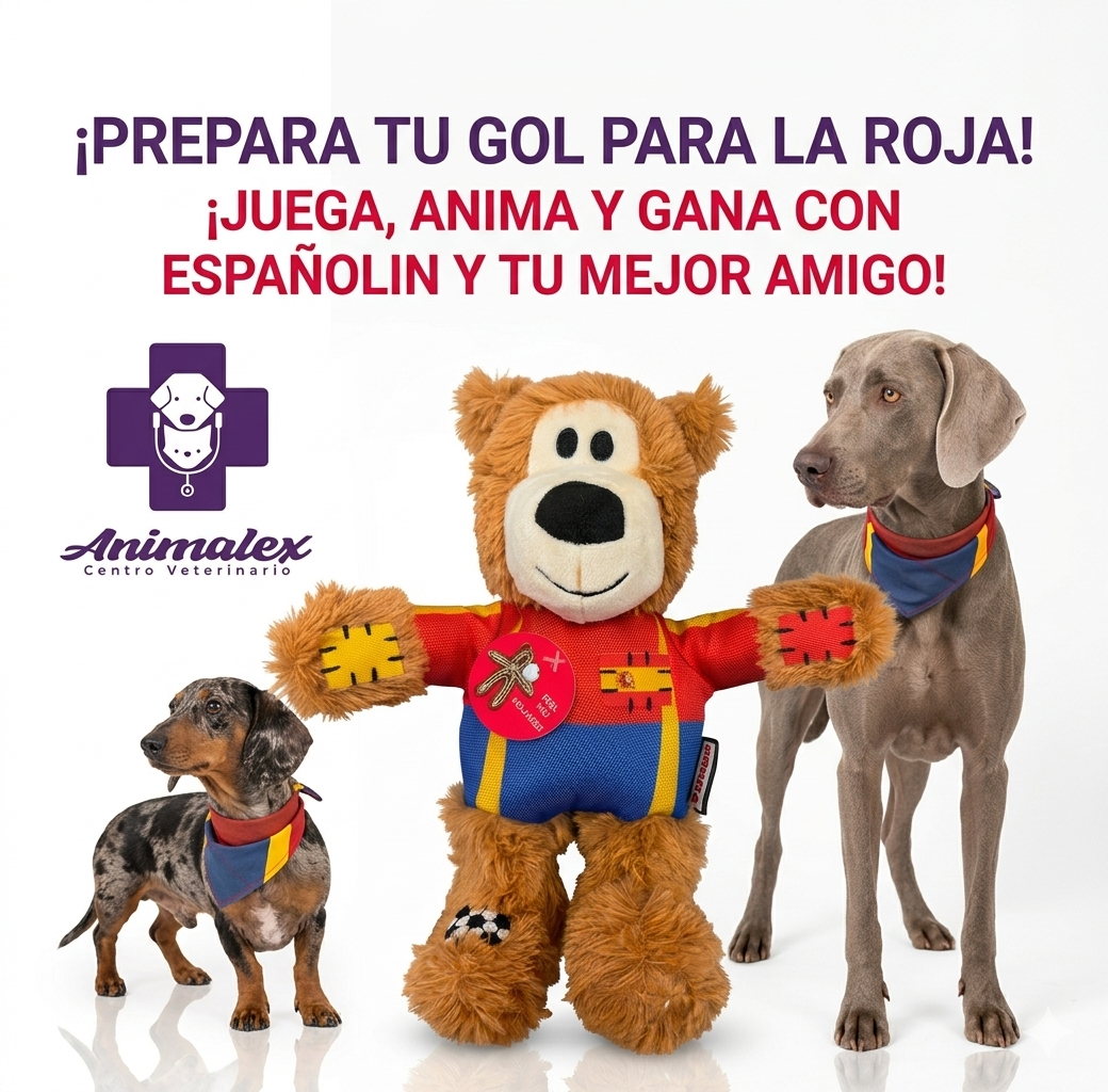 KONG Peluche Mundial Spain - Imagen 2