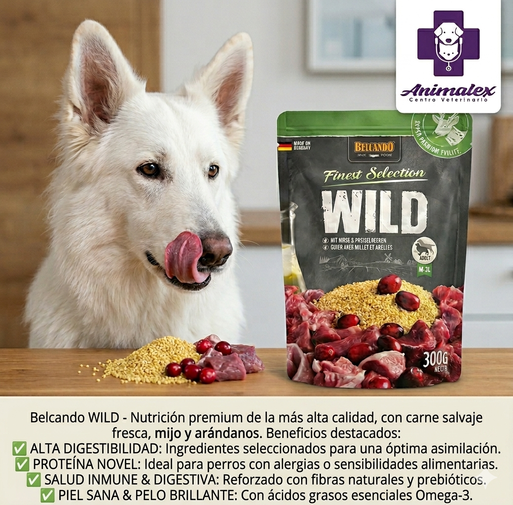 BELCANDO VENADO CON ARANDANOS Y MIJO 300GR SOBRES - Imagen 2