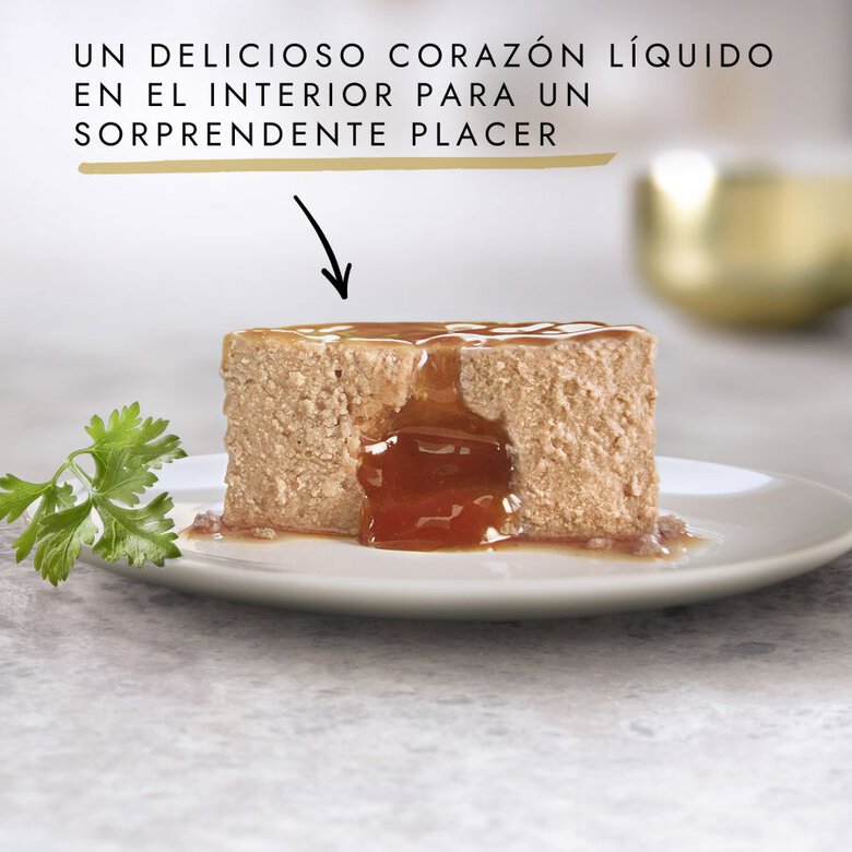 Gourmet Gold Foundant 12 latas - Imagen 2