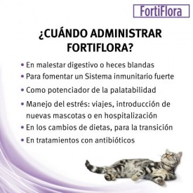 FortiFlora Feline - Imagen 2