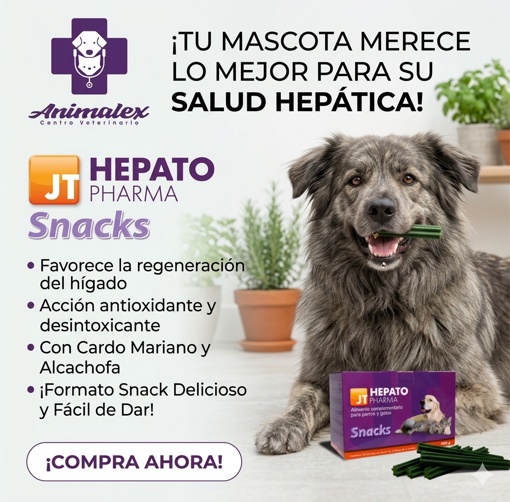 JT-Hepato pharma snack - Imagen 2