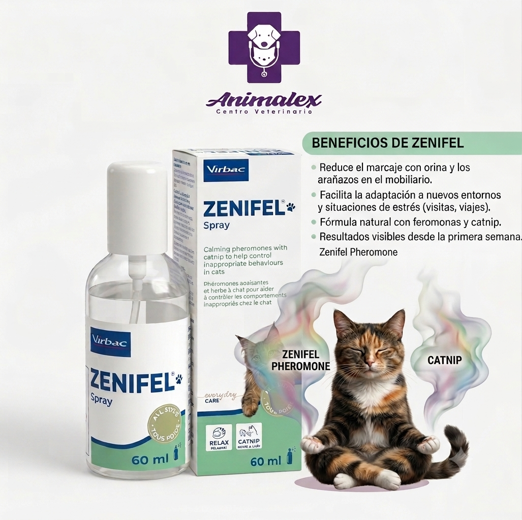 Zenifel Spray 60 ML - Imagen 2