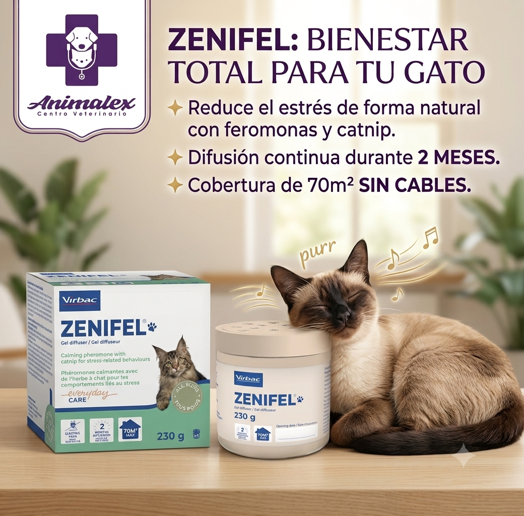Zenifel Gel Difusor 230GR - Imagen 4